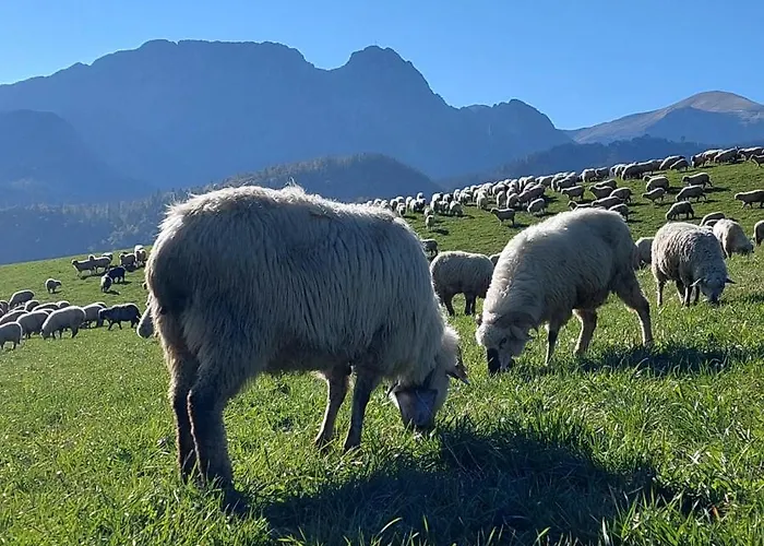 Tatraapart Rent E-bike Lägenhet *